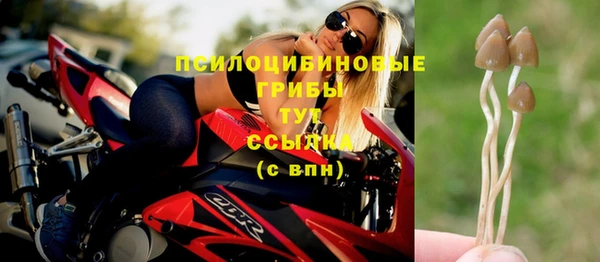 стаф Балахна