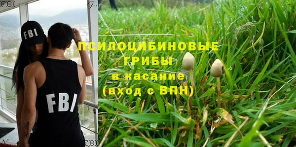 стаф Балахна