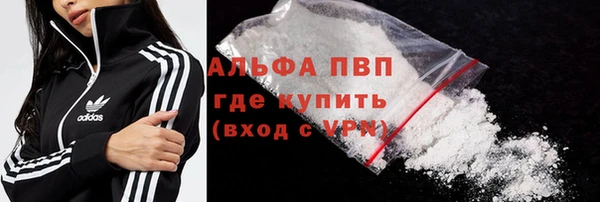 стаф Баксан