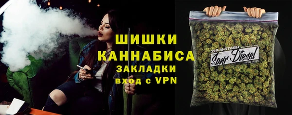 дживик Сосновоборск