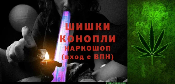 стаф Балахна