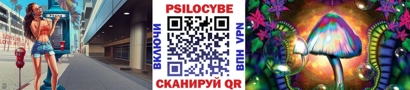 Псилоцибиновые грибы мицелий  где купить наркотик  ссылка на мегу сайт  Баксан 