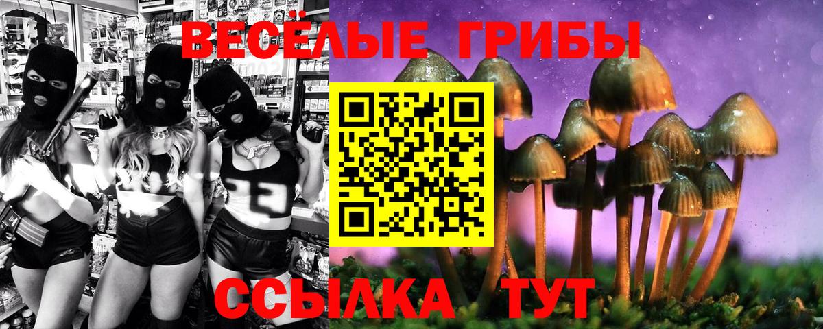 Галлюциногенные грибы Magic Shrooms  Галлюциногенные грибы мицелий  Вход с VPN  Баксан 